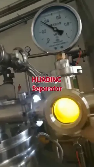 Advanced Chinese Wyb Series Horizontal Leaf Filter for Precision Filtration