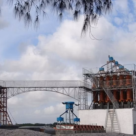 Ls3000 Massive SS316 Screw Conveyor Spiral Conveyor/Helix Conveyor/Auger Conveyor/Agitator for Conveying &amp; Mixing