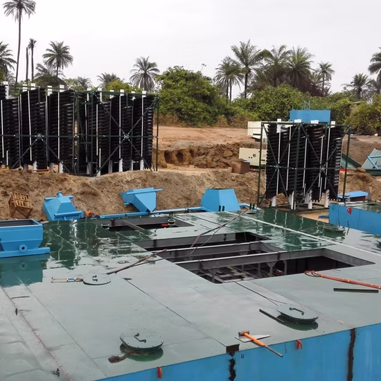 Ls3000 Massive SS316 Screw Conveyor Spiral Conveyor/Helix Conveyor/Auger Conveyor/Agitator for Conveying &amp; Mixing