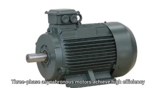 Premium Ie3 High Torque Cast Iron Three Phase Asynchronous Electrical Motor for Heavy Duty Apron Feeders and Vibrating Grizzly Feeders 