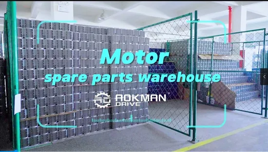 Aokman Drive Vibrating Feeder Machine Vibration Motor 