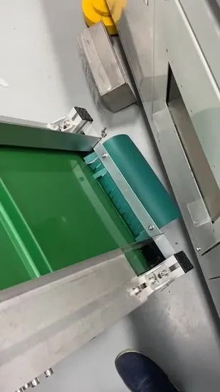 Incline Food Material Conveying Equipment 