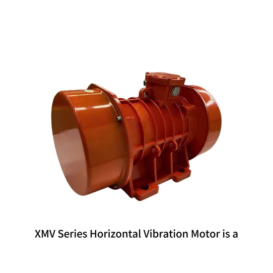 Horizontal Vibrating Motor for Sorting and Vibrating in Food Processing 