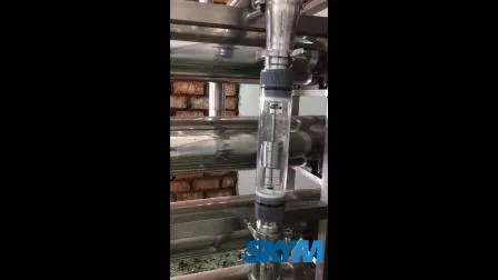 Reverse Osmosis System Drinking Pure Water Purifier Filter Treatment Plant Machine RO System Equipment 