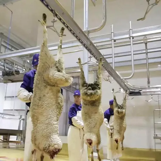 Sheep Carcass Processing Equipment Automatic Conveying Rail for Goat Abattoir Line 