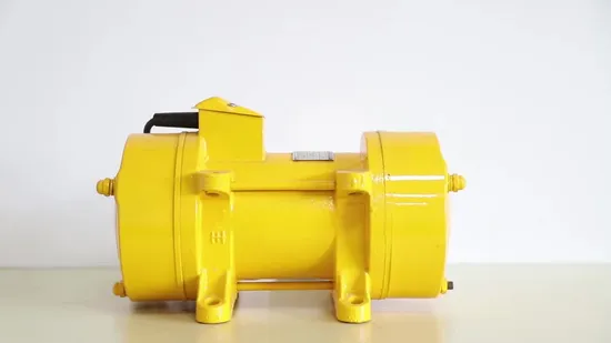 Construction Use Zw Series High Speed Low Noise 220V 2840rpm Concrete Vibrator Motors for Vibrating Sceen