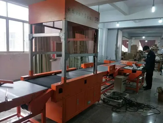 Logistics Parcel Conveying Line, Parcel Weighing and Scanning Equipment, Sorting Equipment 
