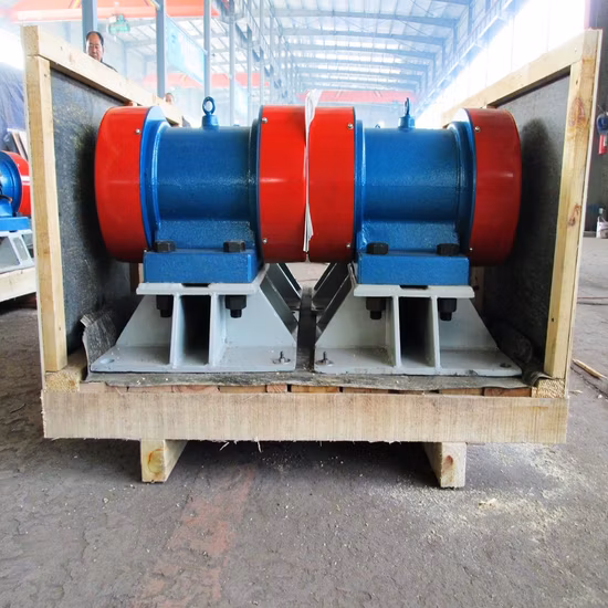 Vibrating Motor Used for Vibrating Screen Vibrating Feeder